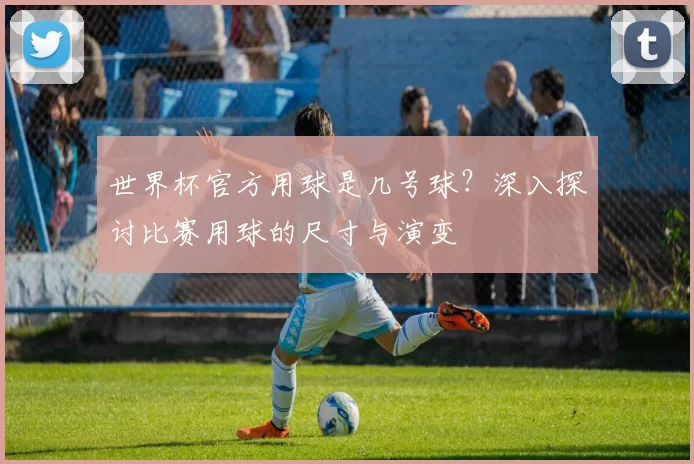世界杯官方用球是几号球?深入探讨比赛用球的尺寸与演变