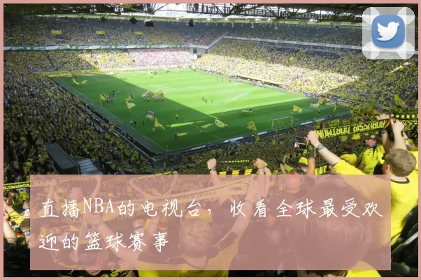 直播NBA的电视台,收看全球最受欢迎的篮球赛事