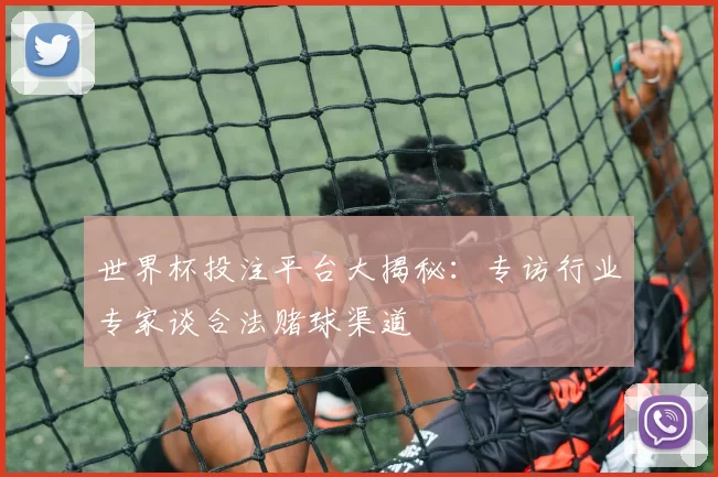世界杯投注平台大揭秘：专访行业专家谈合法赌球渠道