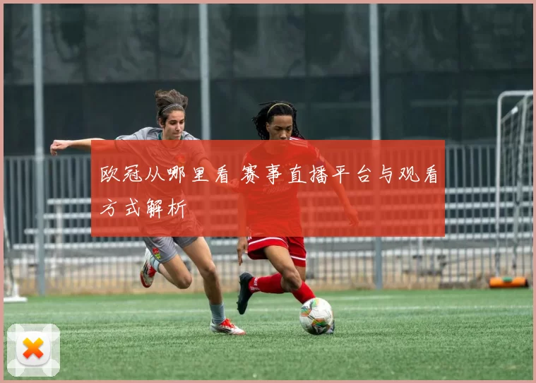 欧冠从哪里看 赛事直播平台与观看方式解析