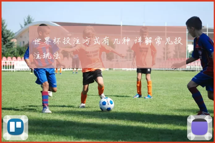 世界杯投注方式有几种 详解常见投注玩法
