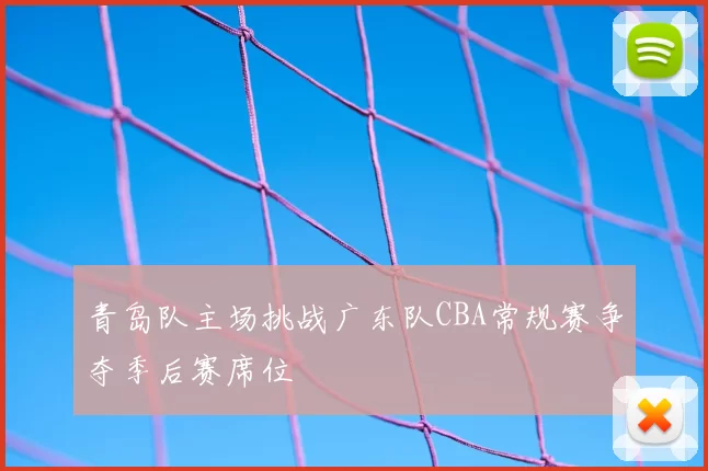 青岛队主场挑战广东队CBA常规赛争夺季后赛席位
