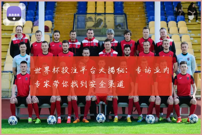 世界杯投注平台大揭秘:专访业内专家带你找到安全渠道
