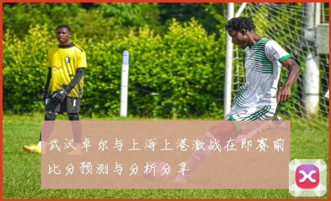 武汉卓尔与上海上港激战在即赛前比分预测与分析分享