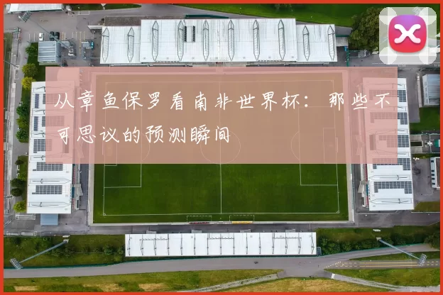 从章鱼保罗看南非世界杯：那些不可思议的预测瞬间