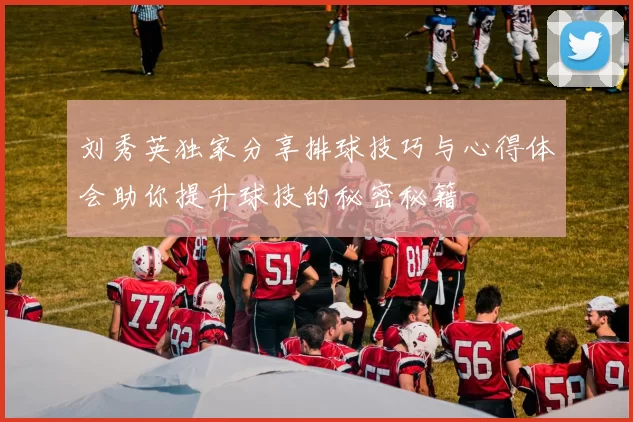 刘秀英独家分享排球技巧与心得体会助你提升球技的秘密秘籍