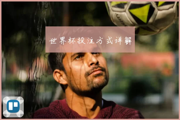 世界杯投注方式详解
