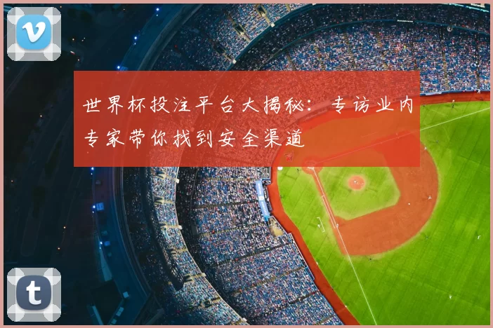世界杯投注平台大揭秘：专访业内专家带你找到安全渠道